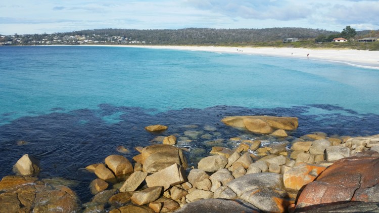 20150606_121508.jpg image